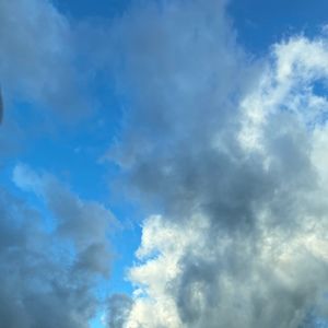 Meet your Posher, Sydney